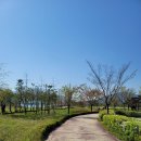 팔당물안개공원 이미지