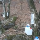 상리농장 이미지