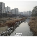분당로얄센터 이미지
