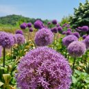 산수골황토방 이미지