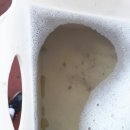 가족크리닝?? 이미지