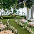 다르미앙 이미지