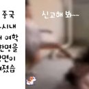 세명행정사 네이버블로그