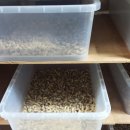 김준식농장 이미지