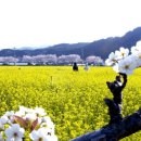 농업인상담소 옆 이미지