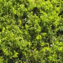 영채농장 이미지