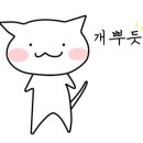 와인컬렉터 이미지