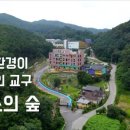 루소의 숲 어린이집 이미지