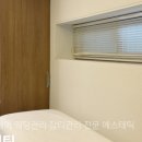 해스테틱 네이버블로그