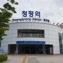 라비채 | [청평/가평 펜션]라비채 펜션 솔직 후기/ 아침 고요수목원 근처 펜션/ 수영장 펜션