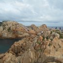 대왕바우 이미지