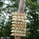 동산희귀약초