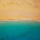 꽃들처럼 이미지