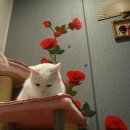 대준빌딩 이미지