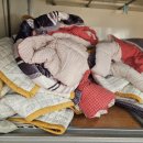 예스크린세탁협동조합 이미지