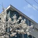 최유석치과의원 | 신림 치과 Ι 최유석치과 후기 Ι 과잉진료없는 치과