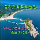 10/18(일) 신상 고성 송지호바다하늘길,금강산 천년고찰 건봉사,척산족욕공원,속초중앙시장여행 이미지