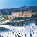 휘닉스파크관광단지 이미지