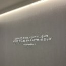 24시 로운동물의료센터 이미지