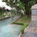 대구 달서구(성서) 이곡장미공원