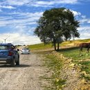 창현목장 이미지