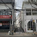 밀림 플랜트 커피 이미지