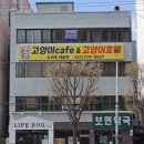 노라조 야옹아 네이버블로그