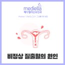 메디엘라산부인과의원 이미지