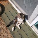 섬섬펜션 이미지