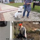 호돌이농장 이미지