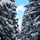 트래블폴더 이미지