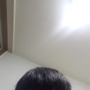 보임컨설팅 네이버블로그