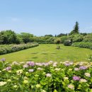 동광리-7 이미지