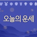 대한사료 앞 (충청남도 논산시 대화로 51) | 문화...서울신문 2025년3월3일