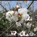 가산중학교 이미지