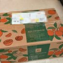 불로초교 | 불로초감귤 제주황금향 겨울간식으로 좋은 섬마을애