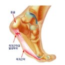 더 케이짐 이미지
