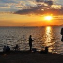 복산리 달천 이미지