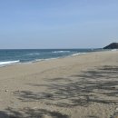 삼척해수욕장 Daum카페