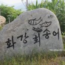 화강송어회