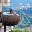 화산-12 | 발리 지프투어 필수 여행 코스, 아카사 카페 화산뷰 솔직 후기