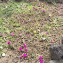 브니엘하우스 이미지