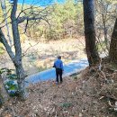 천대국치길 이미지