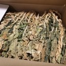 정현시래기 이미지