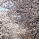 통정3리 마을회관 이미지