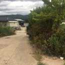 옥산태양광발전소 이미지