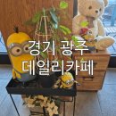 초월도서관 | 다시 찾은 초월카페 데일리커피, 도서관 나들이 후 완벽한 디저트 카페