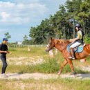 호포승마스쿨 이미지