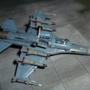 1/144 [PLATZ] J.M.S.D.F F-2A Support Fighter 이미지