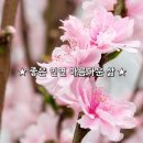 좋은인연 Daum카페